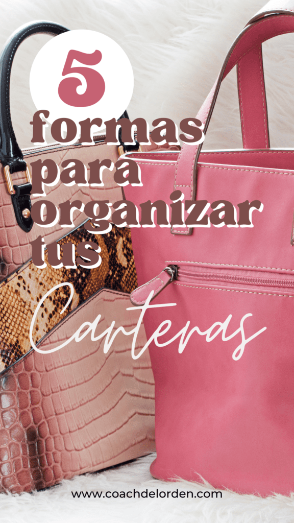 Ideas para organizar mi bolsa de mano: modelos de organizadores de bolsas  para mujer