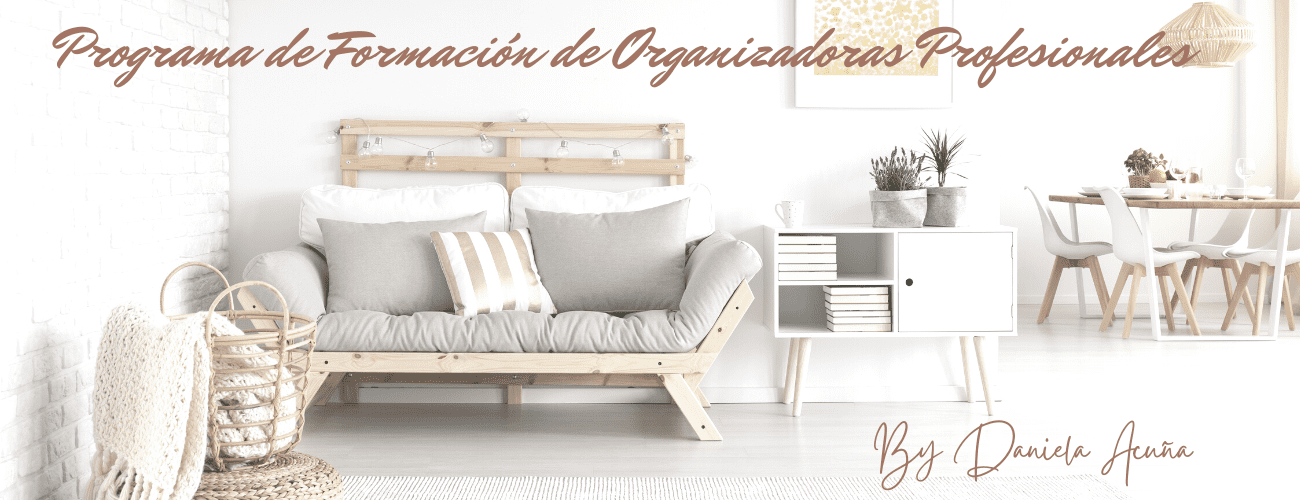 Programa de Formación de Organizadoras Profesionales