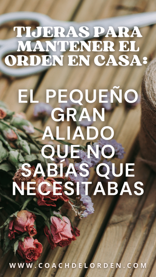 Tijeras Para Mantener el Orden en Casa