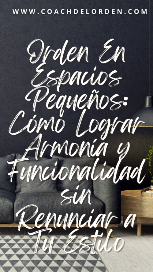 Orden En Espacios Pequeños