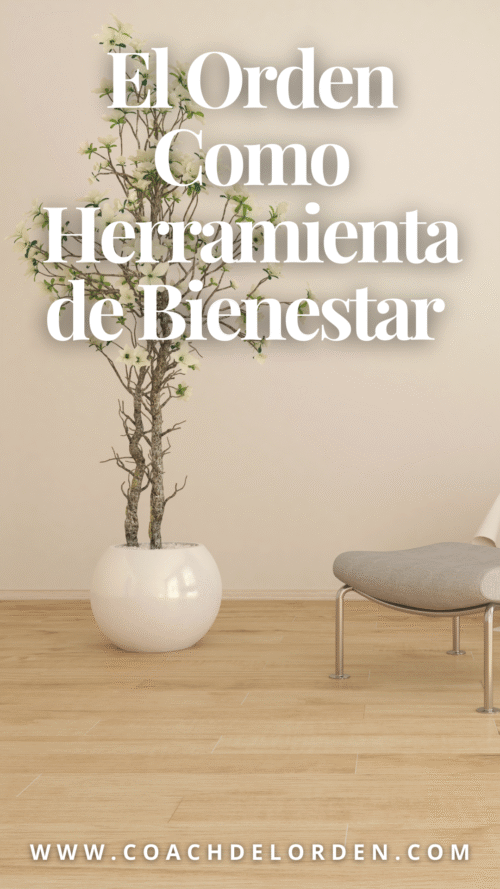 El Orden Como Herramienta de Bienestar